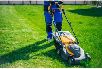 Edging and clean borders